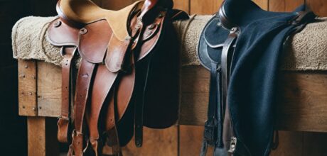 diferenças entre barrigueiras de neoprene e lã: qual é melhor?