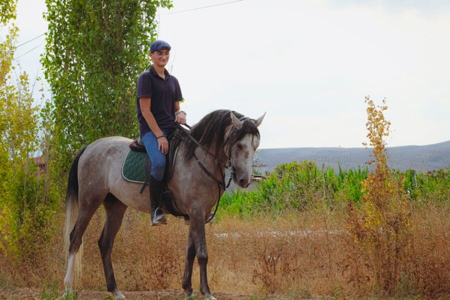 Como funciona o working equitation: guia completo