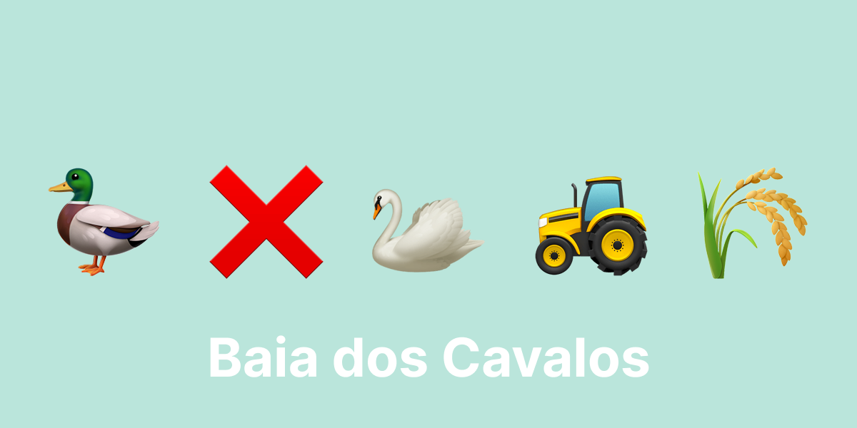 Diferenças entre Patos e Gansos na Criação Rural