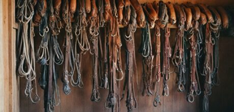Como cuidar e armazenar equipamentos de couro para cavalos: guia completo
