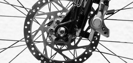 Tipos de freios mais utilizados em cavalos de laço: guia completo