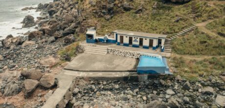 Tratamentos naturais para reduzir a ansiedade em cavalos